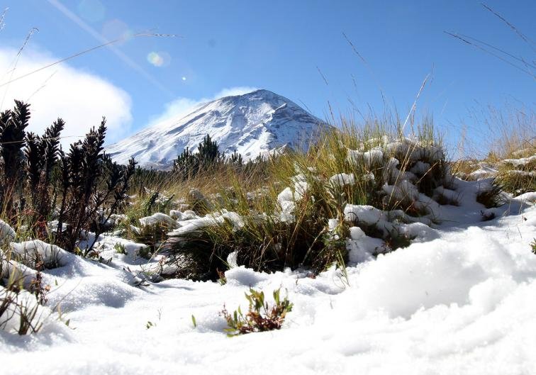 El solsticio de invierno: un fenómeno astronómico que marca el inicio de la estación más fría del año