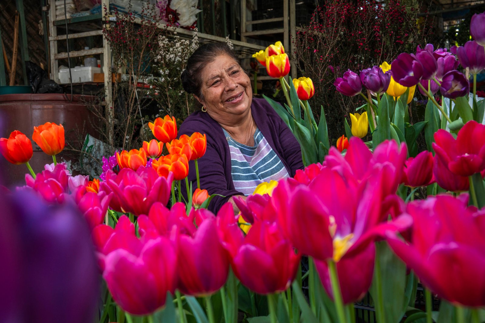 Campo mexicano, listo para la festividad del 14 de febrero