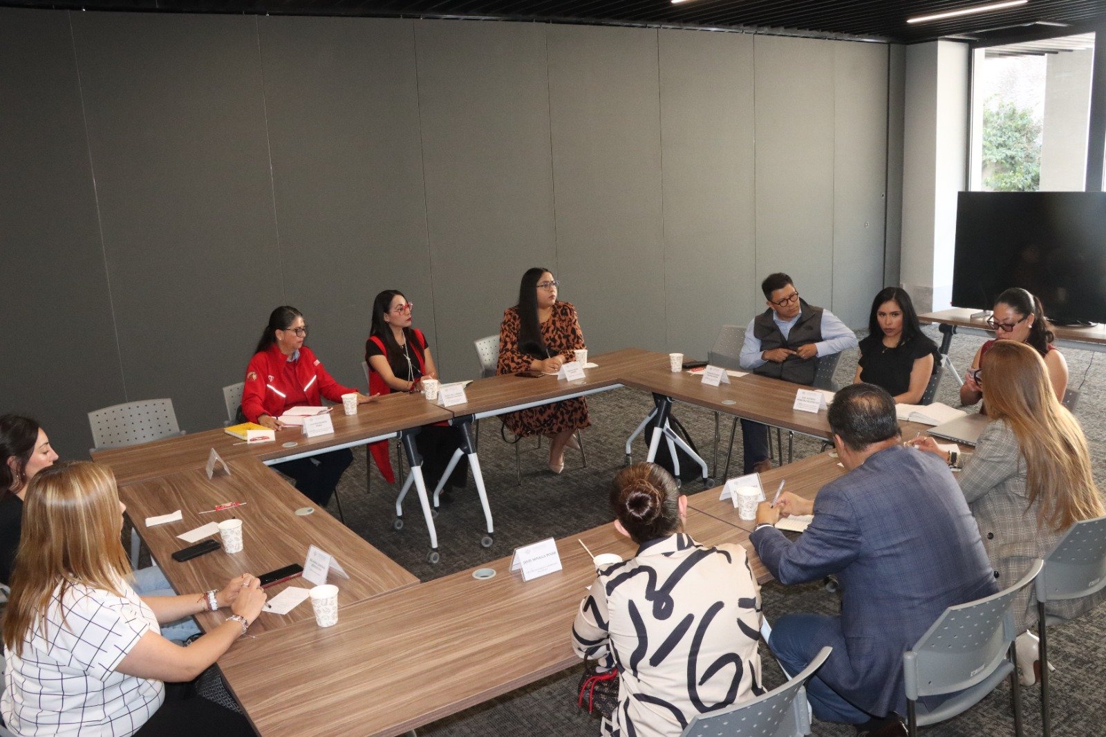 Con la inclusión de jóvenes, avanza la construcción de la Ley de Participación Ciudadana