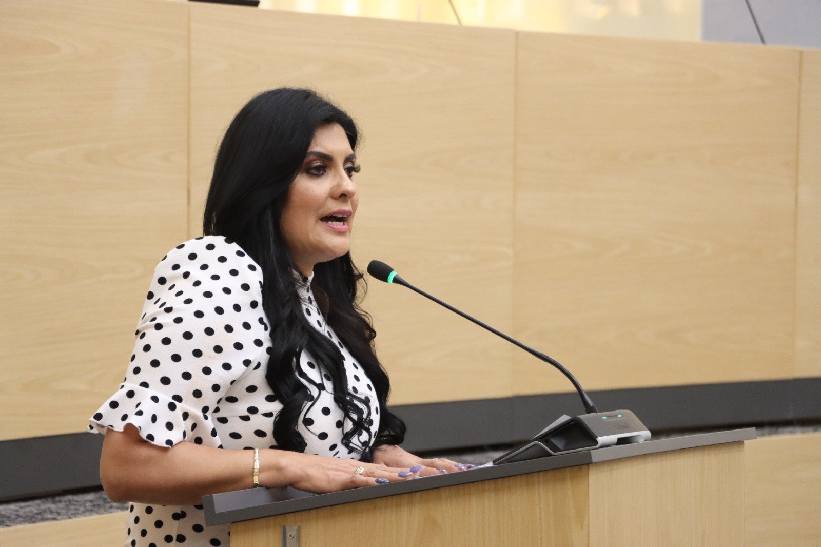 Delfina Pozos solicita informe y auditoría sobre sistema de videovigilancia en Puebla