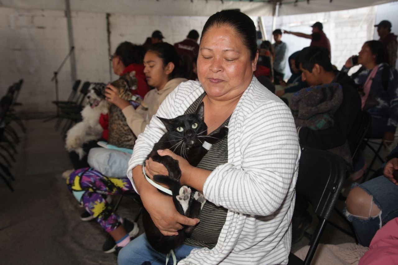 Encabeza Pepe Chedraui jornada de bienestar animal en la Inspectoría de Guadalupe Hidalgo
