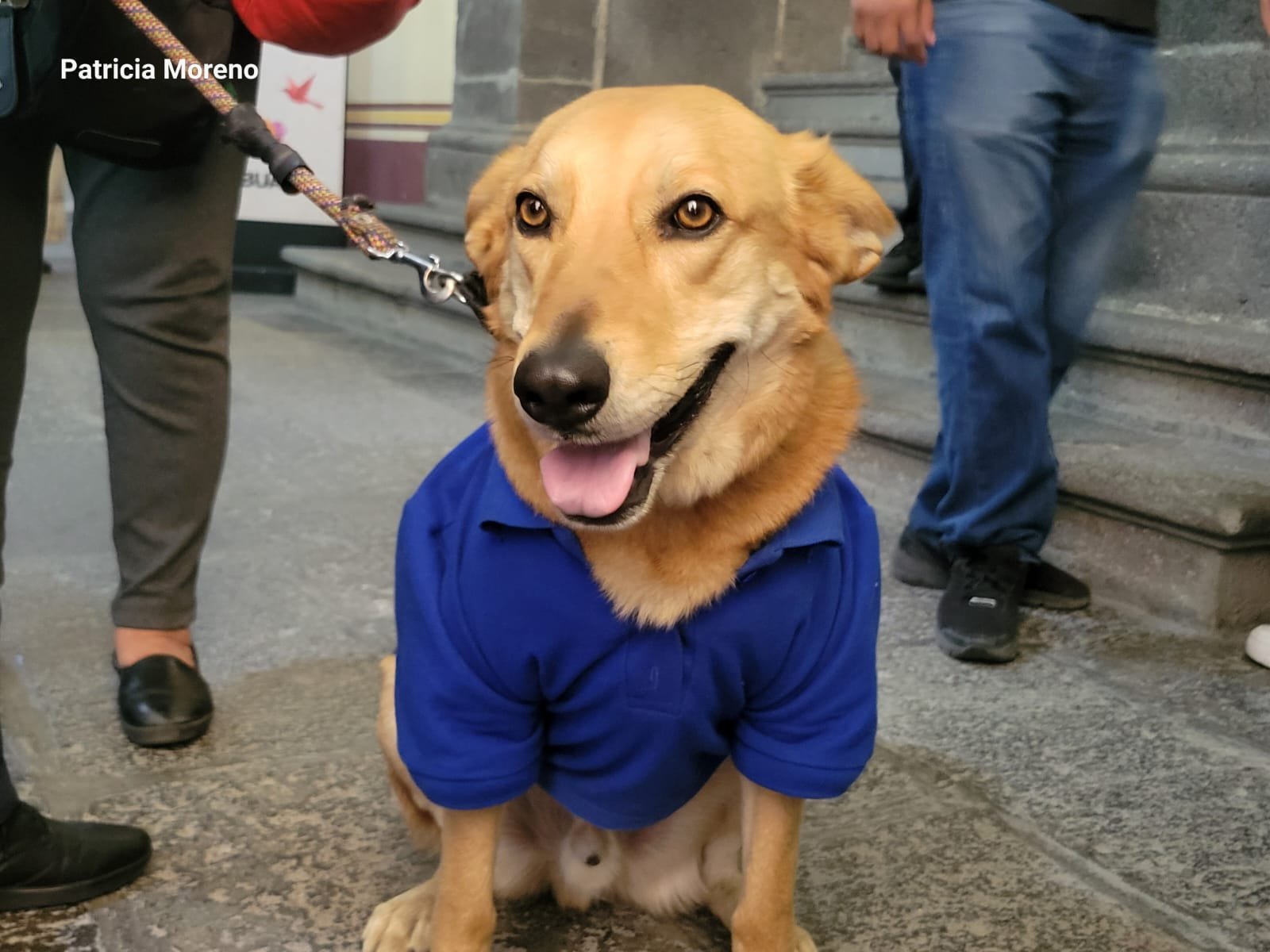 El perrito Carolino se convirtió en la estrella de la FENALI 2026