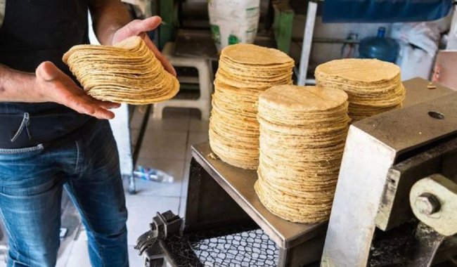 Profeco aclara: No tiene facultades para multar a tortillerías por higiene o manejo de alimentos