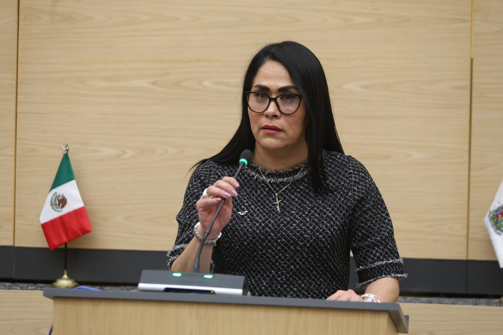 Promueve Fedrha Suriano armonización de la normativa en materia de desaparición de personas