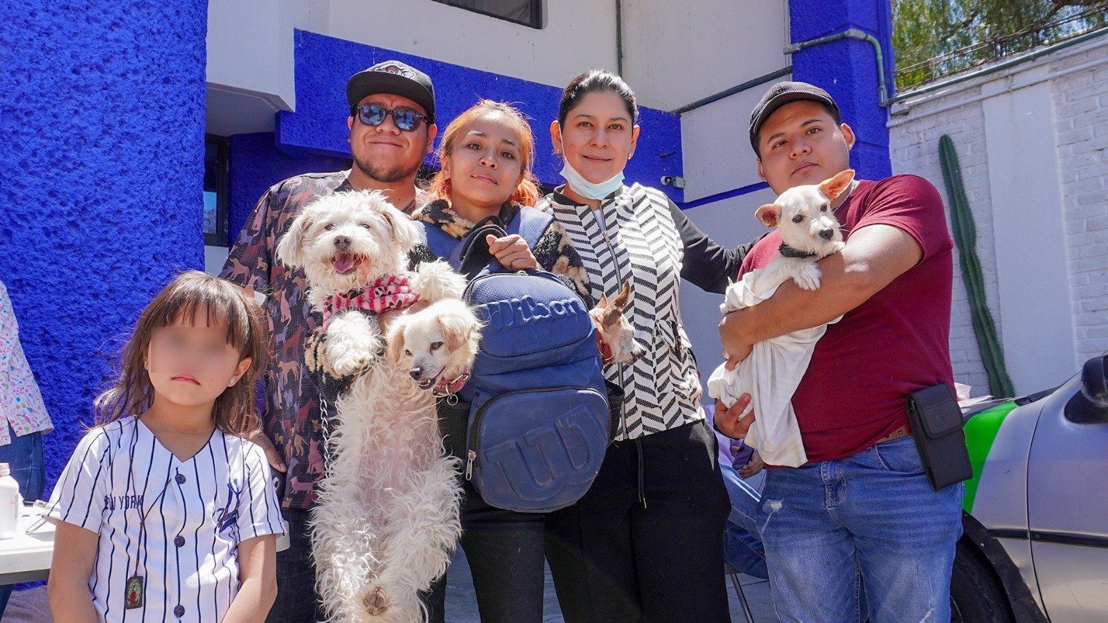 Impulsa la diputada Ana Tepole acciones en favor del bienestar animal en Tehuacán 