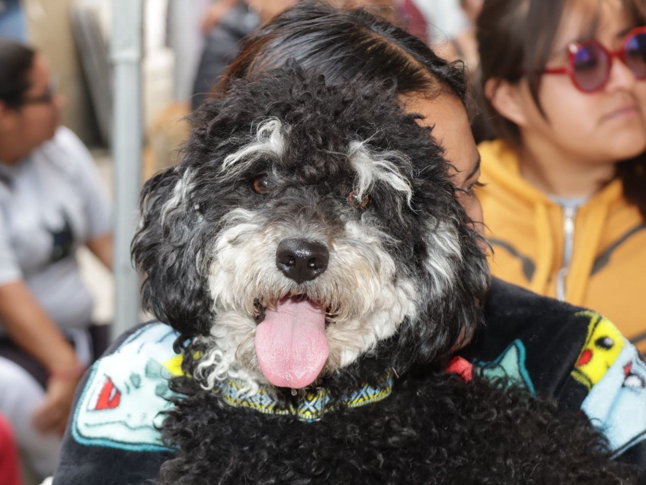 Promueve Pepe Chedraui acciones de bienestar animal en Bosques de Santa Anita