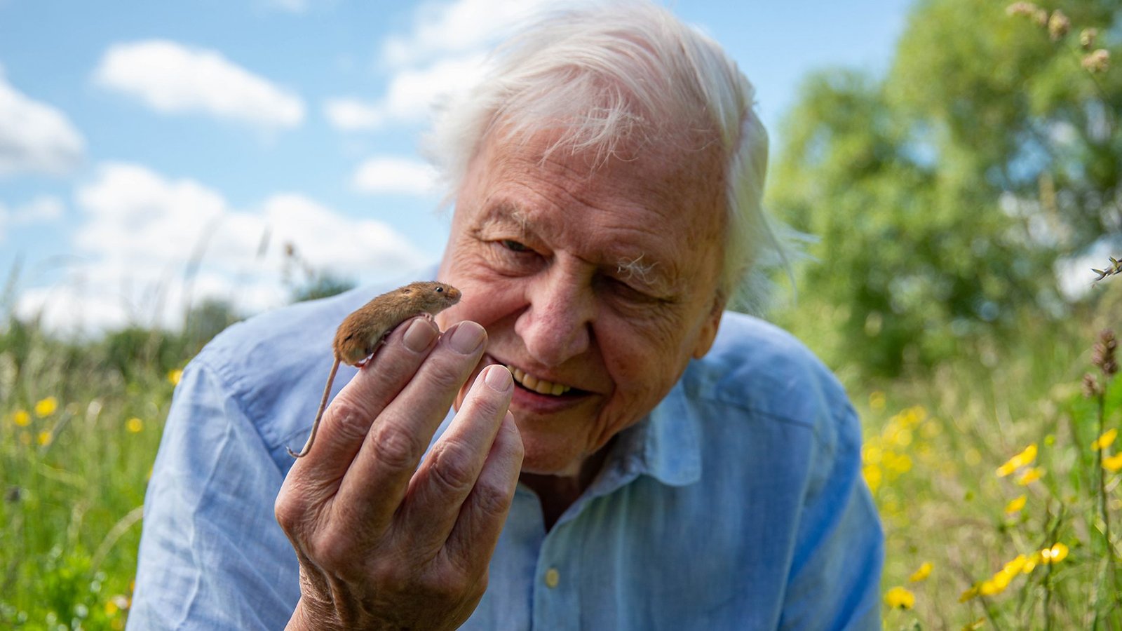 David Attenborough llega a los 100 años: El hombre que tradujo la naturaleza al mundo