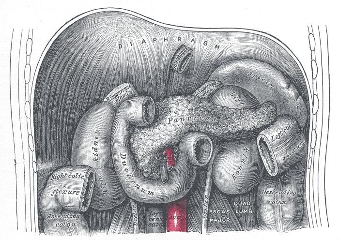 Daraxonrasib: El fármaco que marca un hito histórico en el tratamiento del cáncer de páncreas