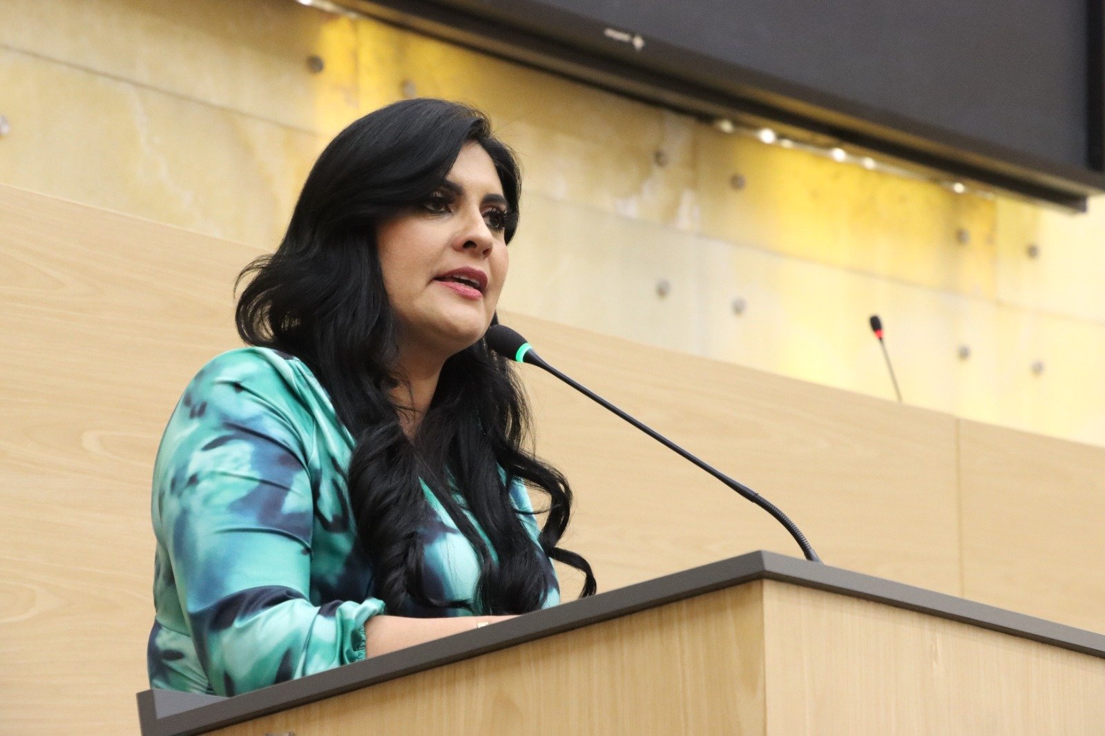 Presenta Delfina Pozos exhorto para esclarecer posibles actos de promoción anticipada