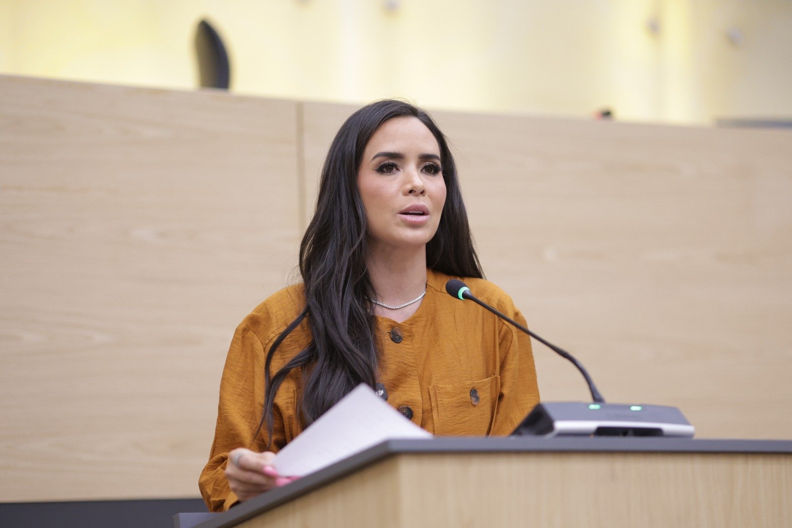 Impulsa diputada Graciela Palomares exhorto para visibilizar, reconocer y dignificar el trabajo doméstico y de cuidados
