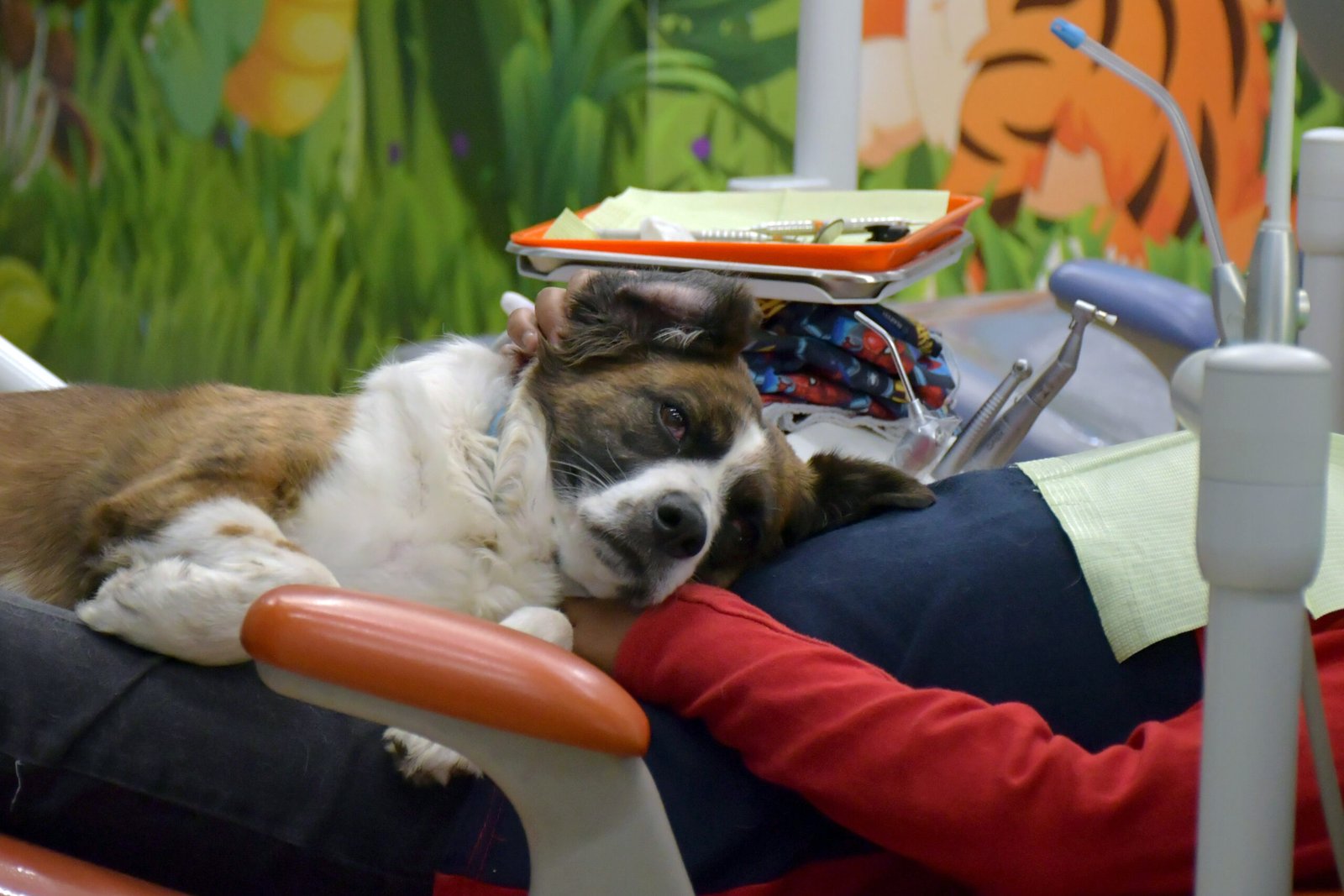 Ofrece BUAP atención estomatológica especializada para menores con costos accesibles y apoyo de perros de asistencia