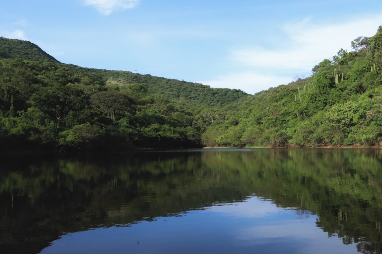 Respalda diputado Pável Gaspar proyectos de ecoturismo y desarrollo sustentable en la Mixteca poblana