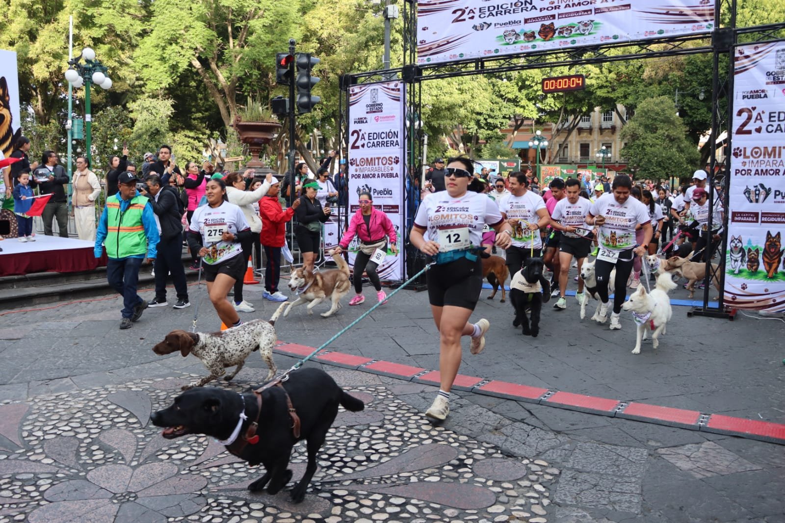  Con carrera “Lomitos Imparables”, Puebla se une en una fiesta deportiva y de bienestar animal