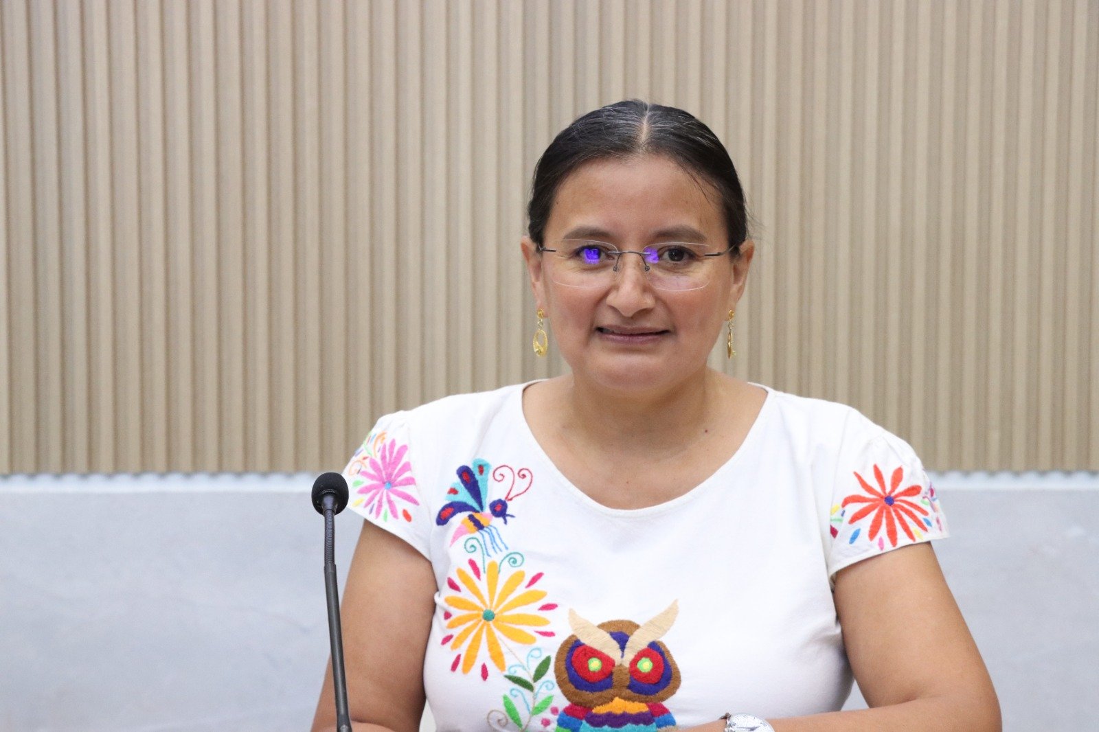 Consulta a pueblos y comunidades indígenas es fundamental para construir una Ley acorde a sus realidades: Esther Martínez