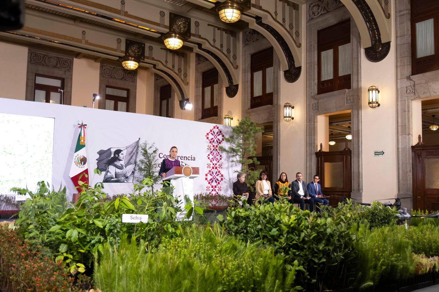 Anuncia Claudia Sheinbaum Jornada Nacional de Reforestación para este 9 de agosto