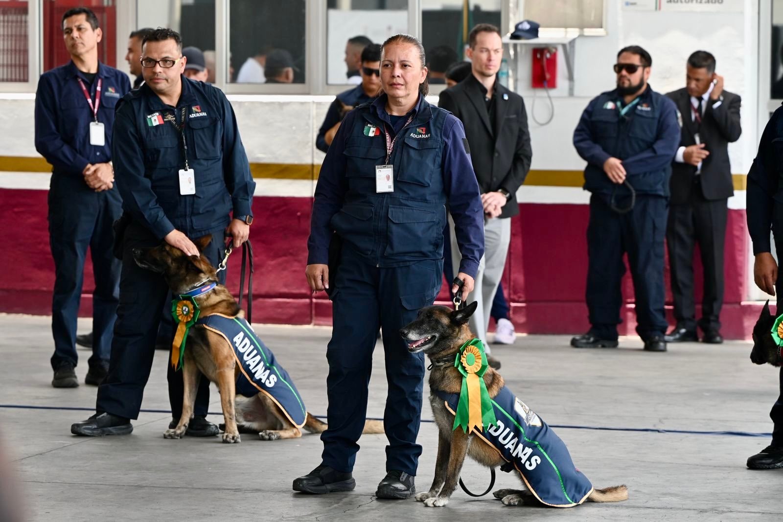 La ANAM rinde homenaje y jubila a cuatro perros detectores que protegieron las aduanas de México