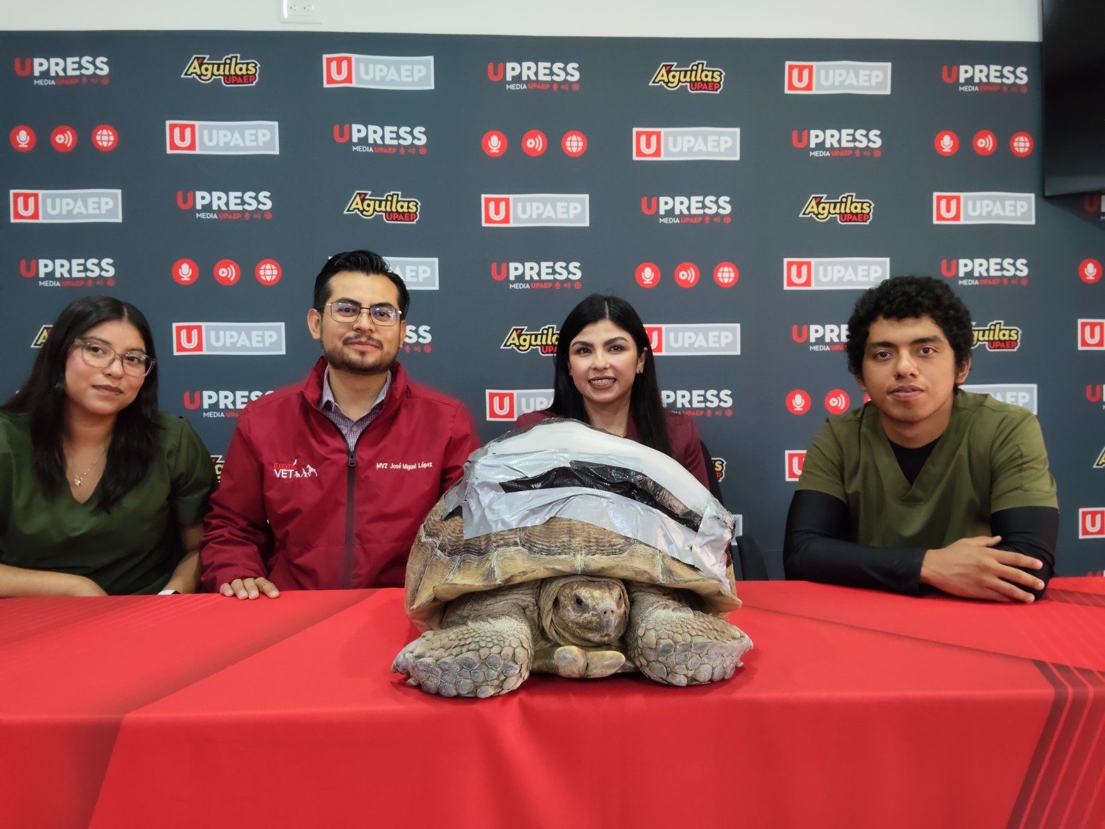 UPAEP crea órtesis biónica para tortuga Darwin
