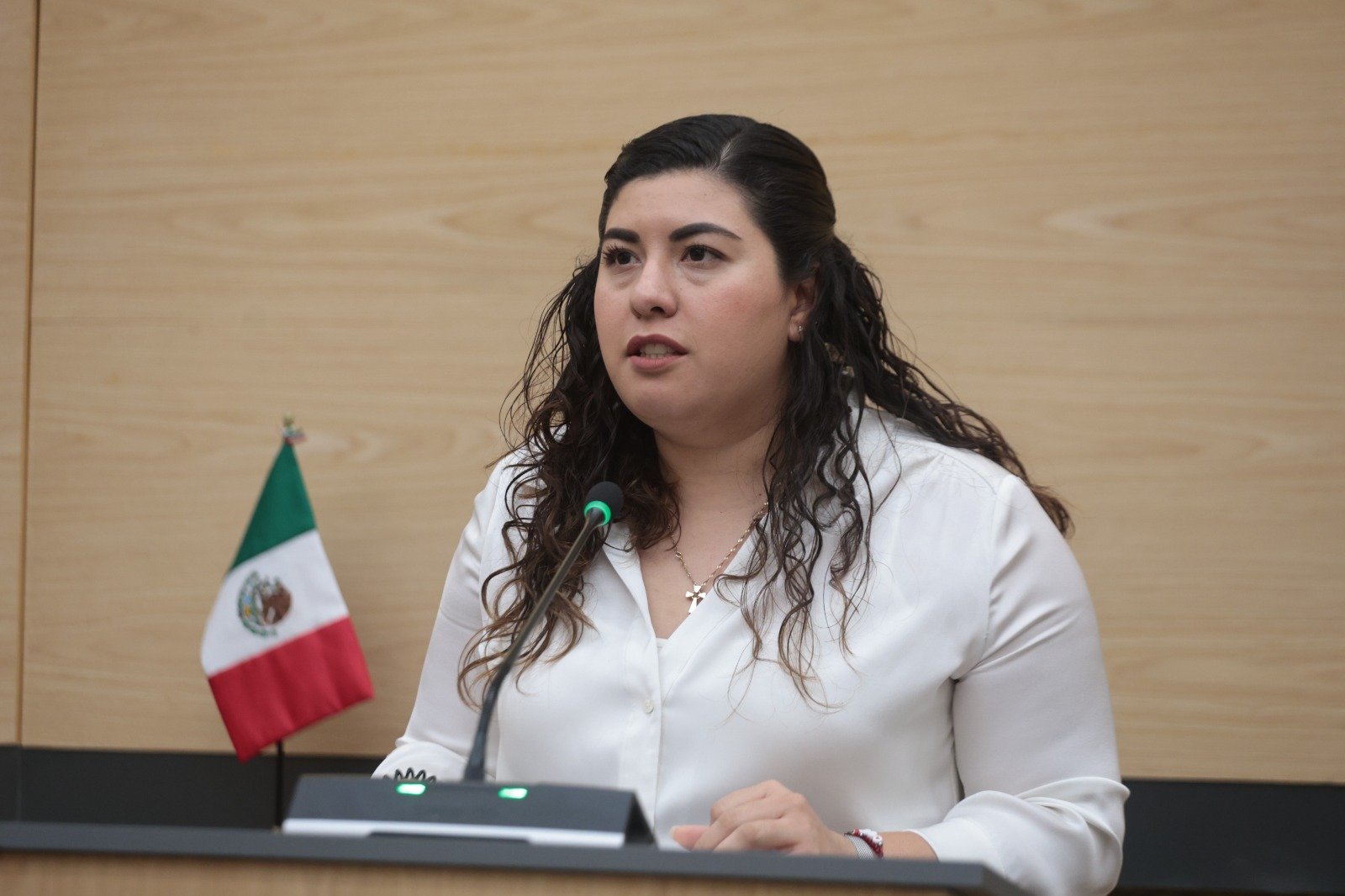 Propone Xel Arianna Hernández iniciativa para suspender licencias de conducir a deudores alimentarios morosos