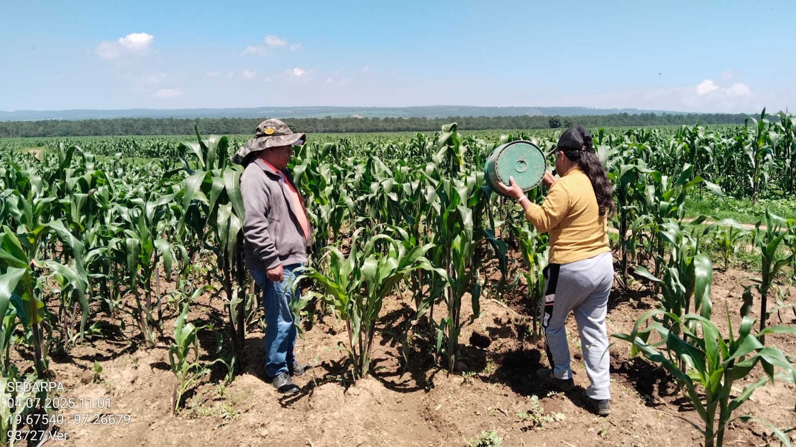 Biofertilizante de Altosano Granjas Carroll impulsa cultivos en Veracruz y Puebla