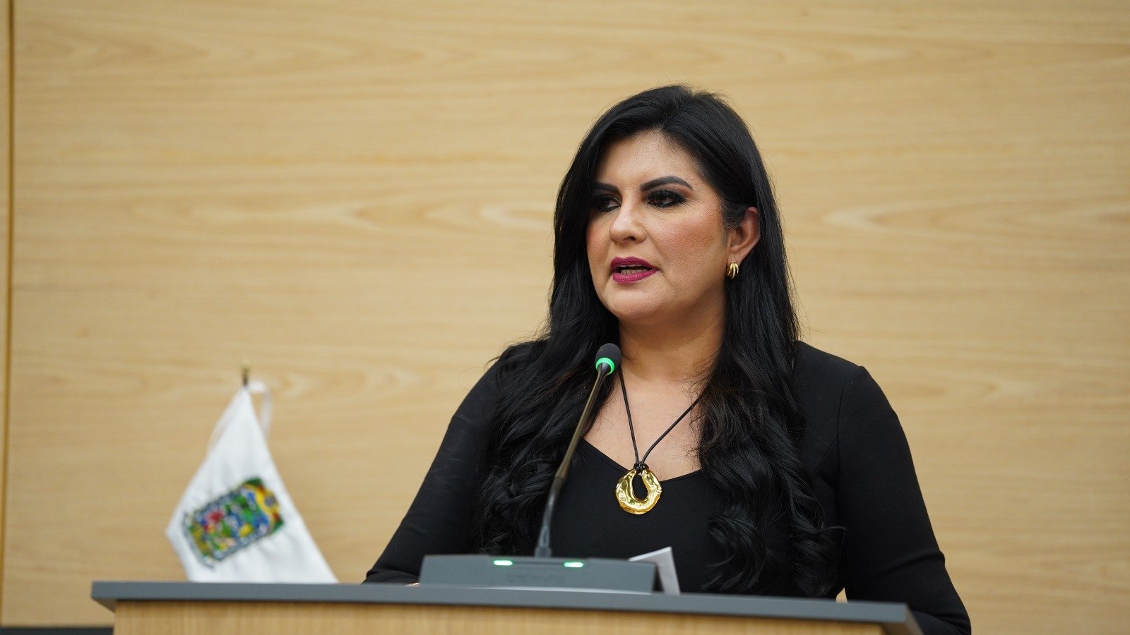 Diputada Delfina Pozos propone Registro Confidencial para prevenir trata y explotación de personas