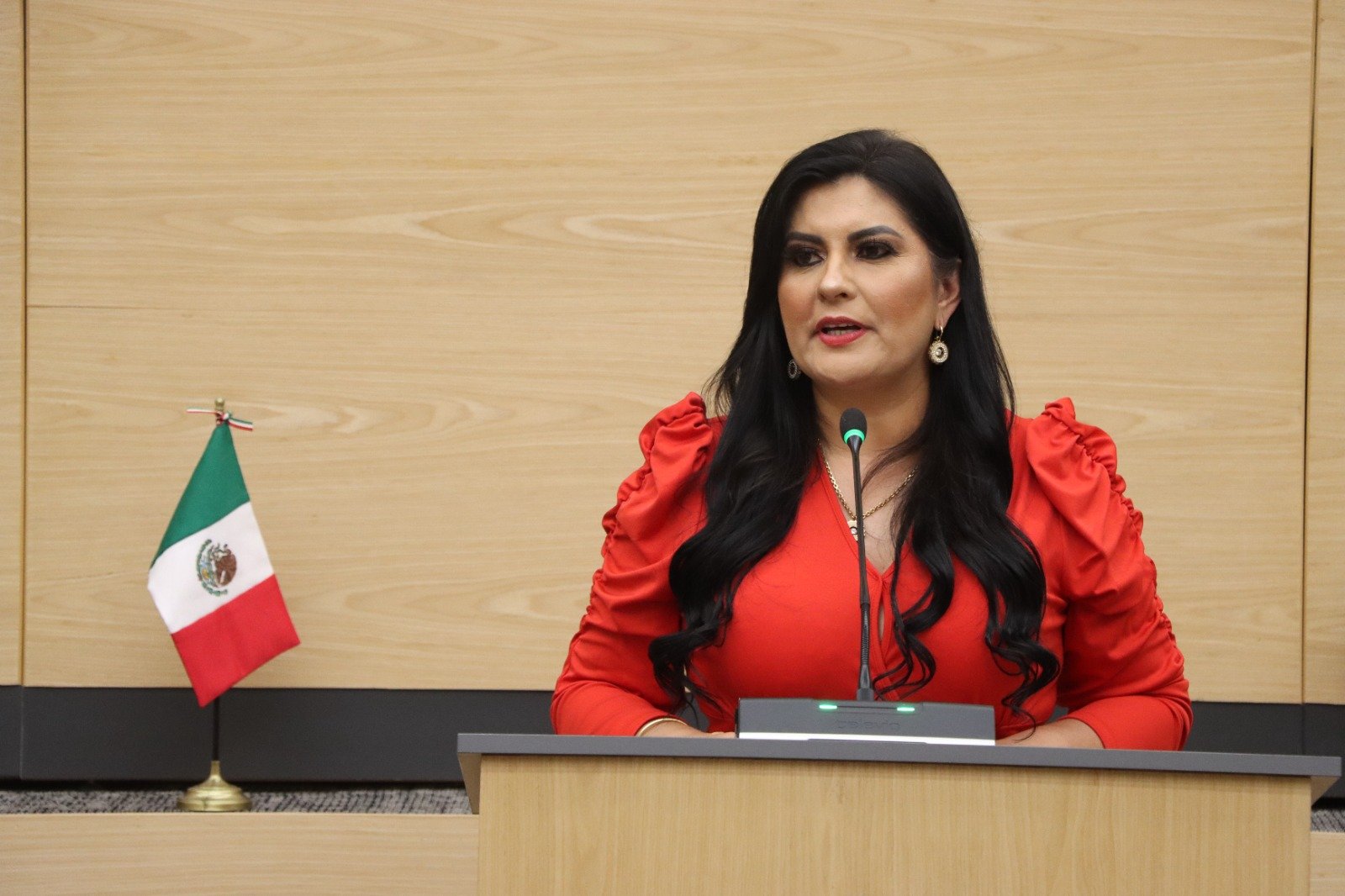 Impulsa diputada Delfina Pozos iniciativa para crear el Programa Estatal de Capacitación para Personas Adultas Mayores 