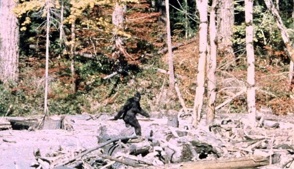 Nuevo documental revela imágenes de 1966 y reaviva la controversia sobre la falsificación del video de Bigfoot
